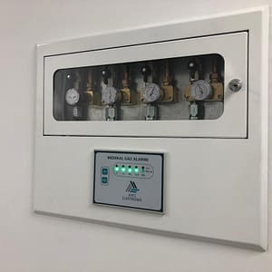 AYF 100
